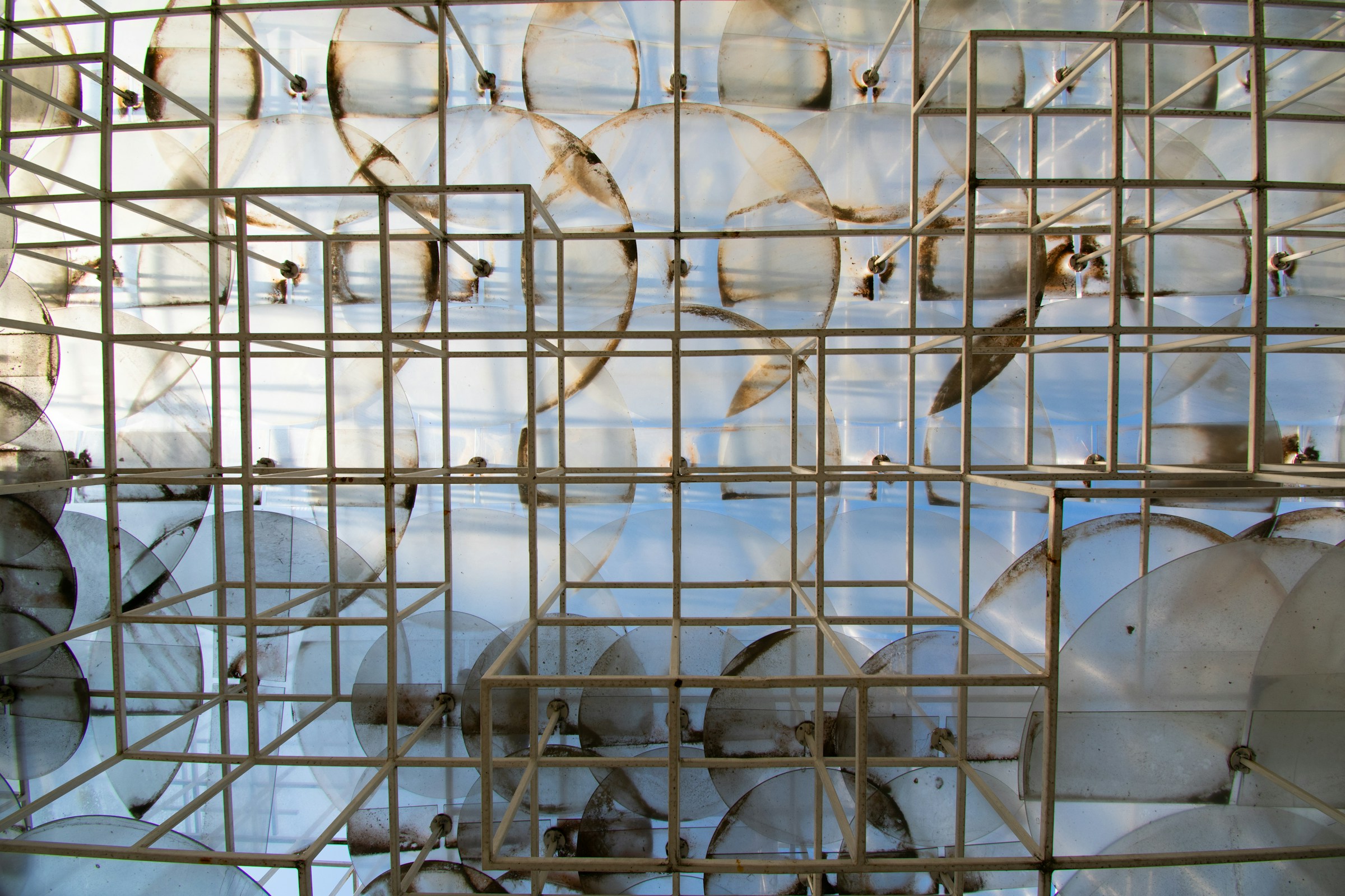 Taxonomy art installation